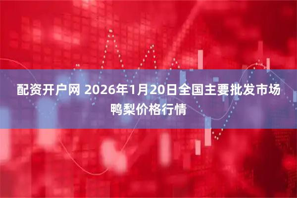 配资开户网 2026年1月20日全国主要批发市场鸭梨价格行情