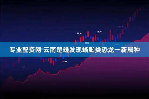 专业配资网 云南楚雄发现蜥脚类恐龙一新属种