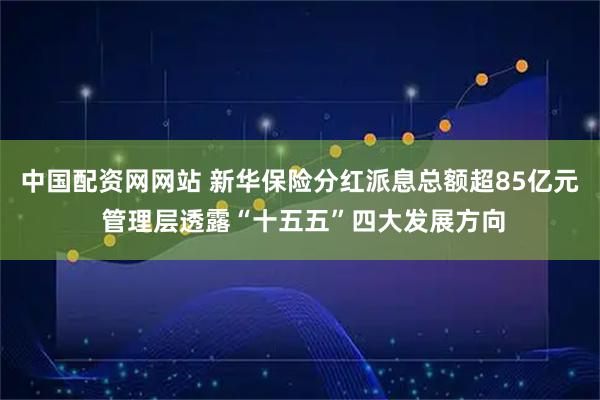 中国配资网网站 新华保险分红派息总额超85亿元 管理层透露“十五五”四大发展方向